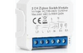Exttreme Corp Zigbee 2Ch-Retrofit